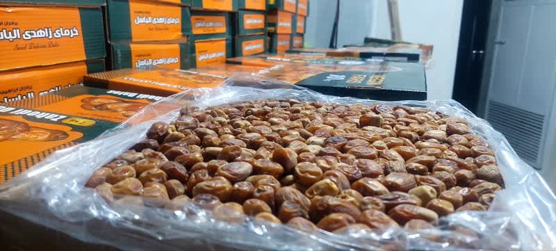 توزیع 2هزار و 500 کیلو خرما همراه با بسته های معیشتی بین مددجویان کمیته امداد نطنز